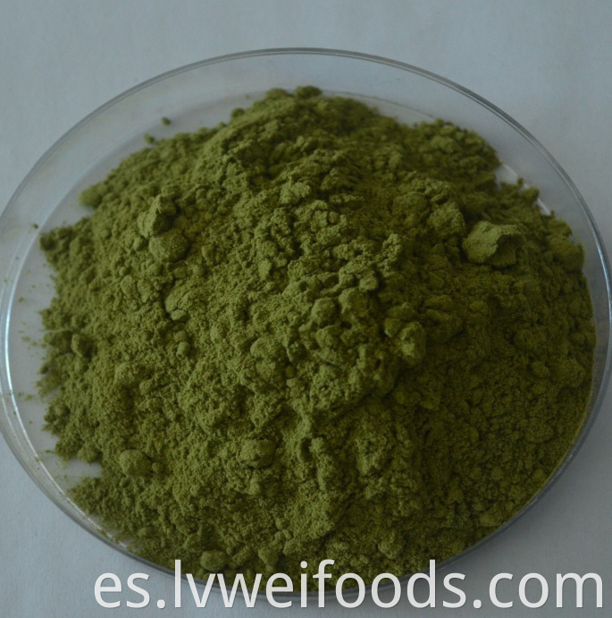 Dehydrated Lettuce Powder